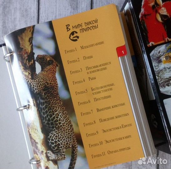В мире дикой природы (энциклопедия) 2 папки