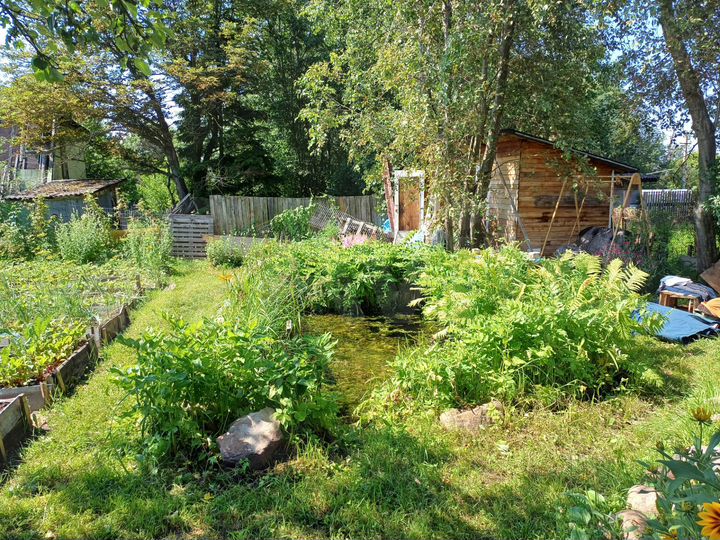 Дача 40 м² на участке 10 сот.