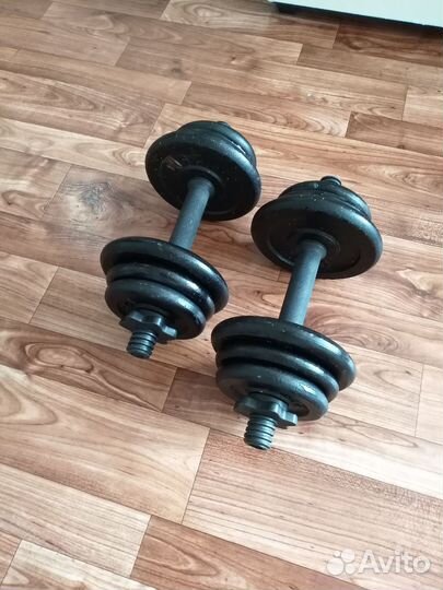 Гантели 22 кг железные разборные