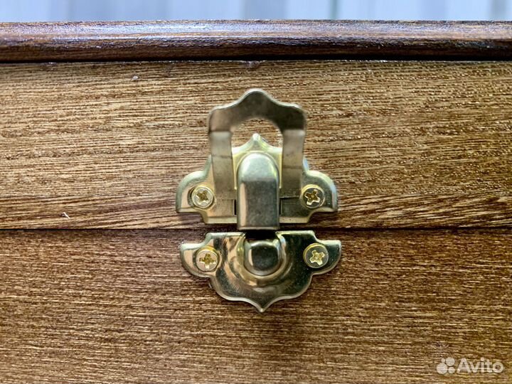 Шкатулка с чучелом летучей мыши за стеклом