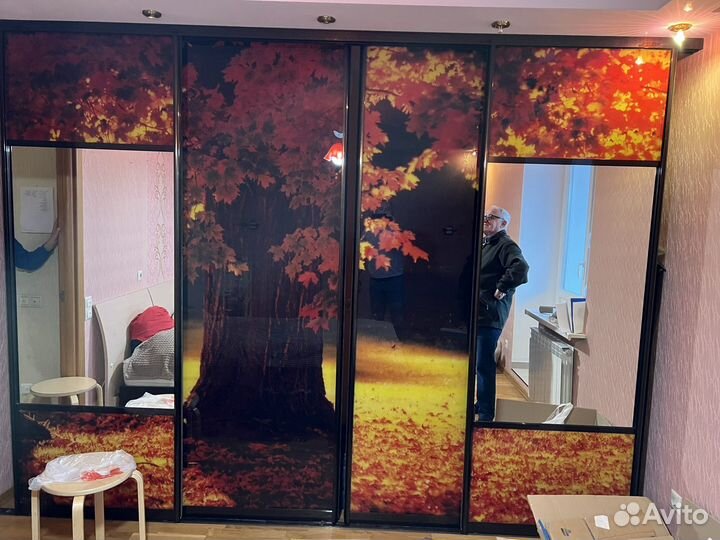 Двери для шкафа купе с зеркалом бу