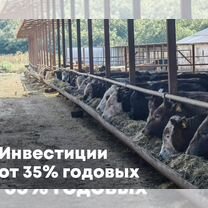 Инвестиции в действующую ферму. От 35 годовых