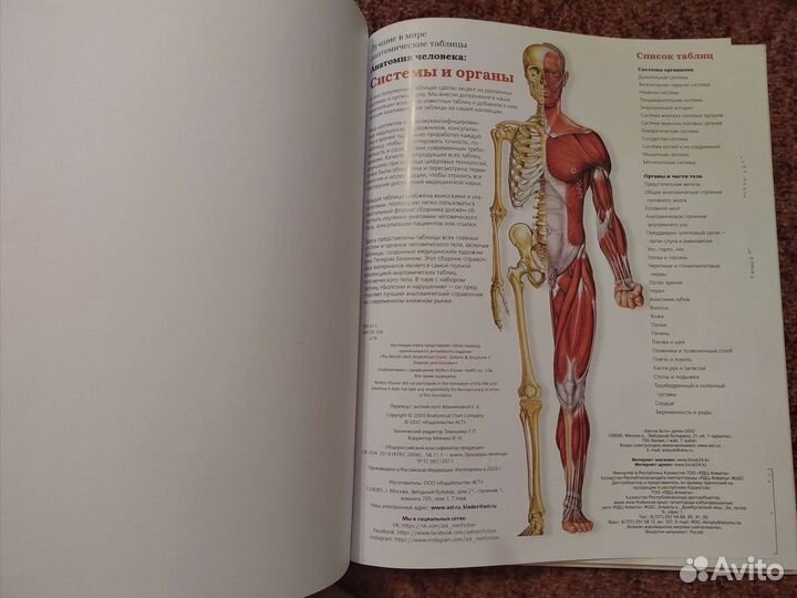 Большой атлас анатомии человека