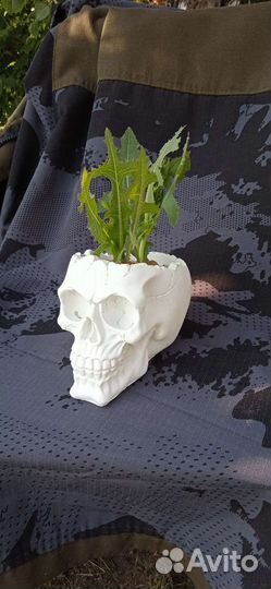 Череп набор