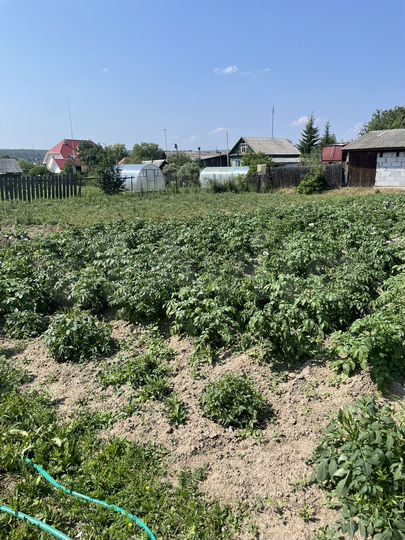Участок 10 сот. (ИЖС)