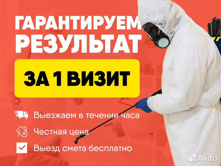 Уничтожение тараканов клопов плесени Дезинфекция