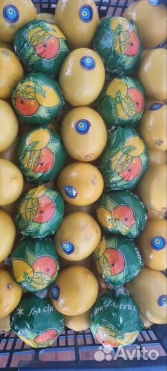 Фрукты оптом