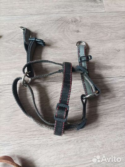Шлейка для маленькой собаки