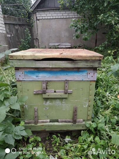 Улей для пчел бу