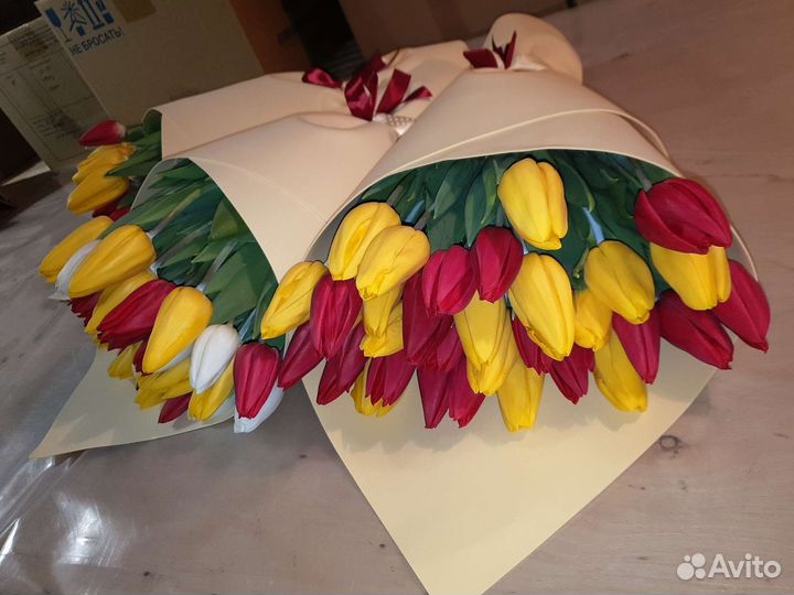 Луковицы тюльпанов для выгонки