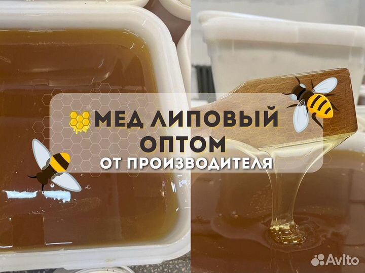 Липовый мед оптом. Свежий сбор