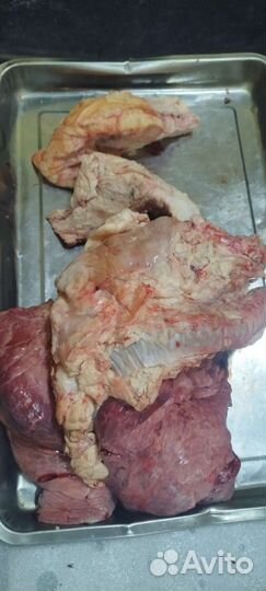 Косточки, обрезы, легкие для собак