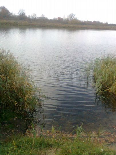 Участок 8 га (СНТ, ДНП)
