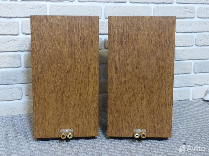KEF Reference 101 arar колонки студийные 3/5