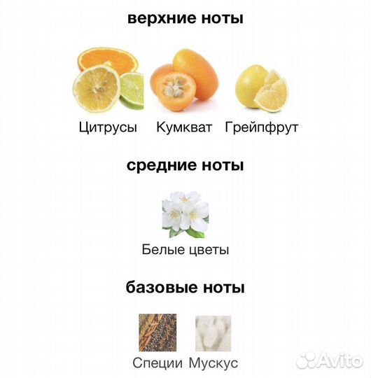 Montale soleil de capri