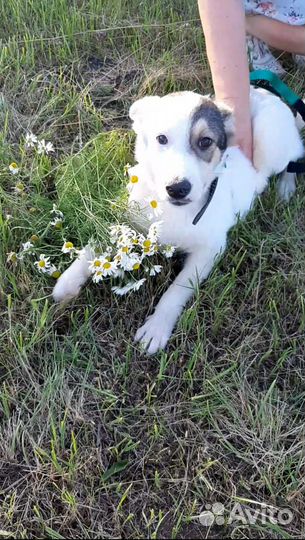 Не пройдите мимо