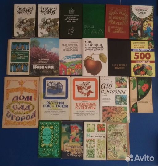 Сад огород цветы плодовые деревья овощи СССР