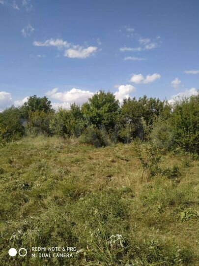 Участок 6 сот. (СНТ, ДНП)