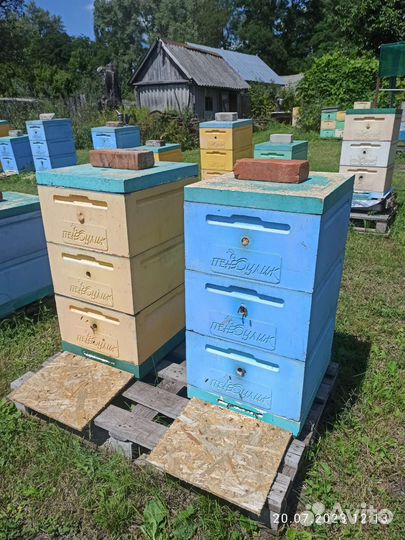 Ульи Пеноулик Рута 10шт