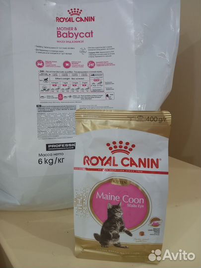 Сухой корм для кошек royal canin