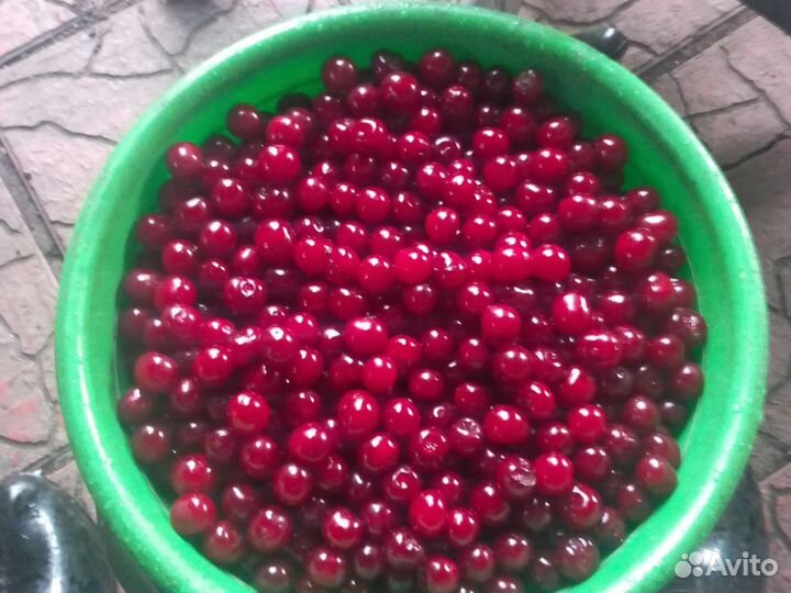 Продукты питания