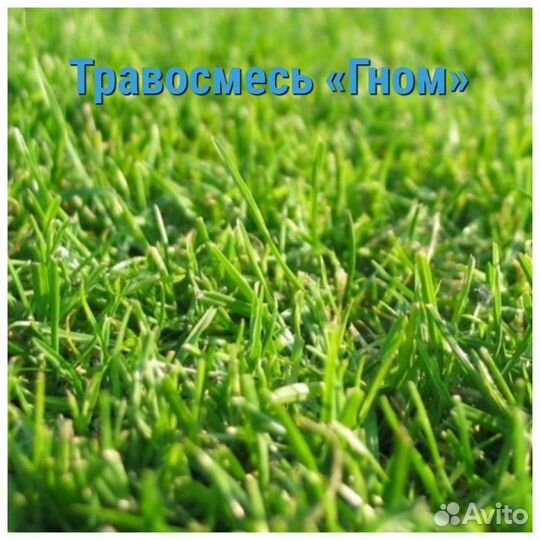 Газонные смеси с бесплатной доставкой по Крыму