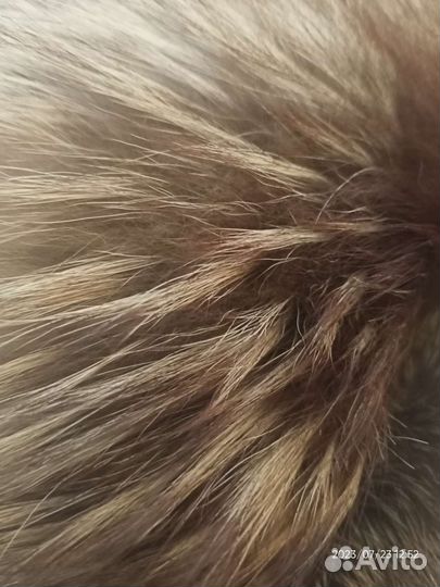 Меховой воротник лиса
