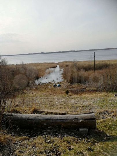Участок 29,2 сот. (ИЖС)