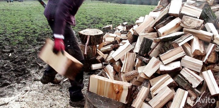 Дрова дрова
