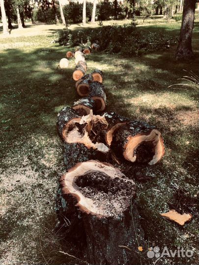 Удаление деревьев / Расчистка участков