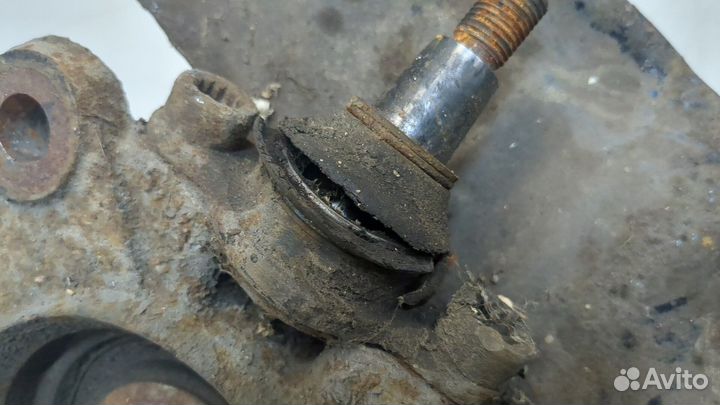 Ступица (кулак, цапфа) Volkswagen Transporter 5, 2