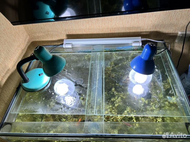 Аквариум 200 литров