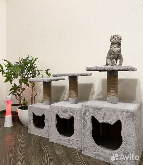 Когтеточка для кошки