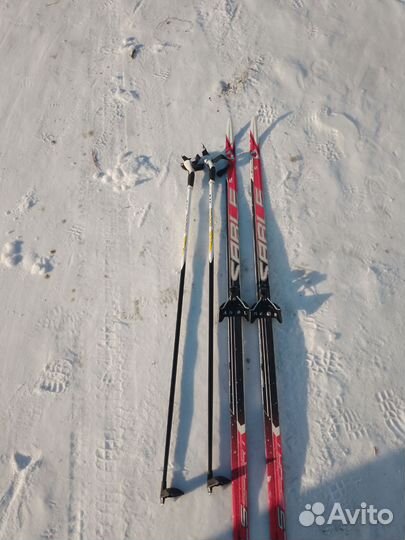 Беговые лыжи