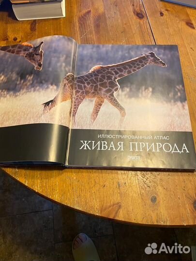 Живая природа. Иллюстрированный атлас