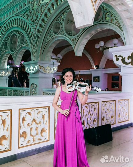 Скрипка, электроскрипка, музыкант на праздник