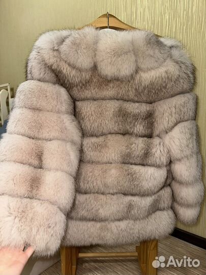 Финский аукционный песец