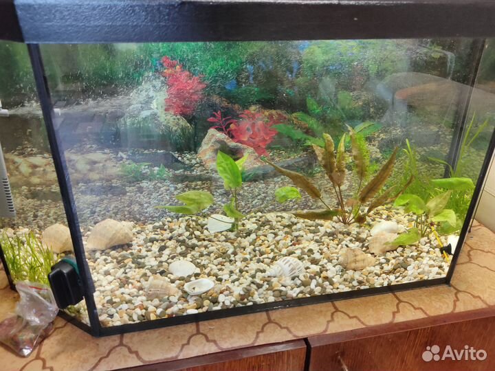 Продам аквариум
