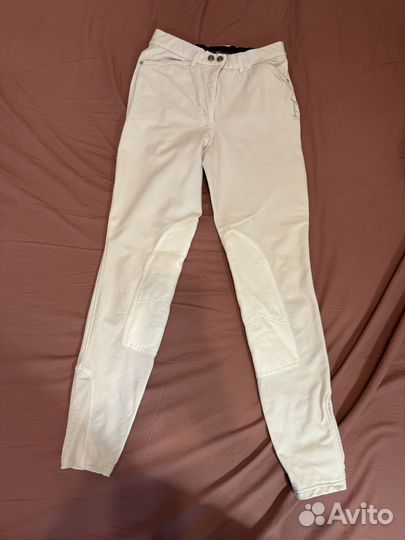 Бриджи для конного спорта