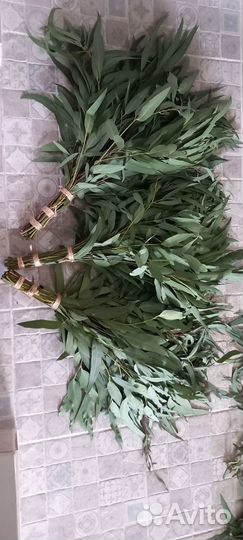 Эвкалиптовые веники