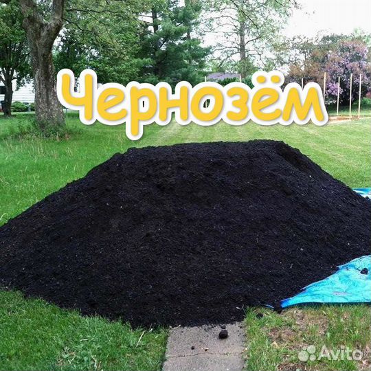 Чернозем грунт земля