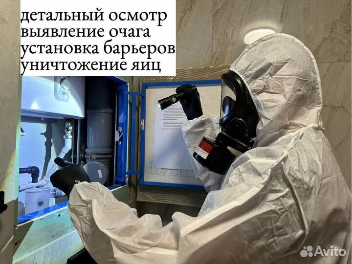 Уничтожение клопов тараканов дезинфекция