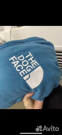 Костюм для собаки