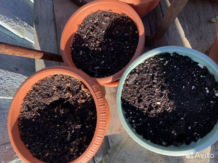 Горшки для цветов