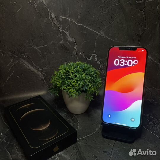 iPhone 12 Pro Max, 128 ГБ