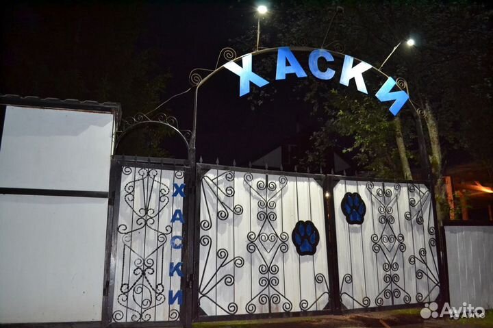 База отдыха 