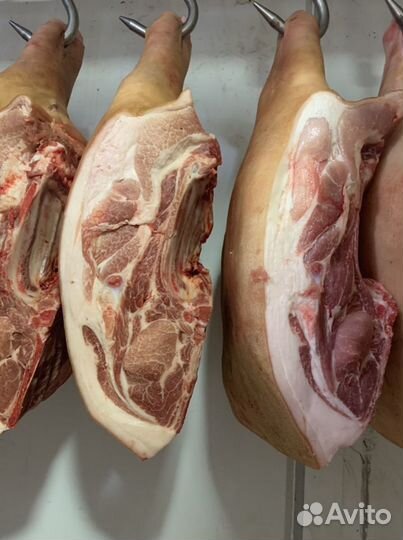 Мясо свинины