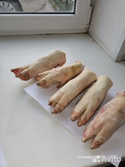 Ноги свинные