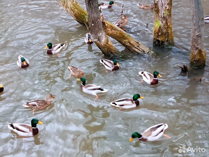 Теплая беседка -дом для отдыха