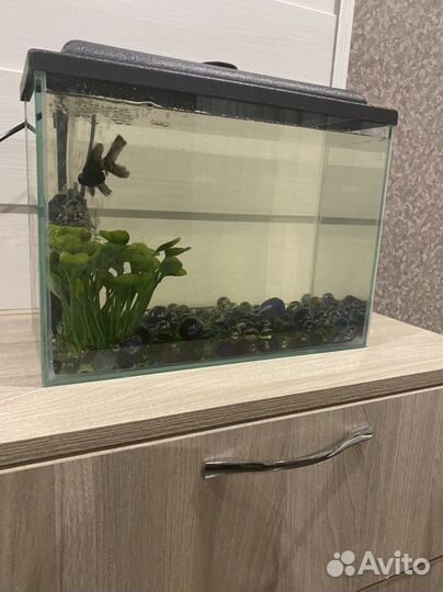 Аквариум